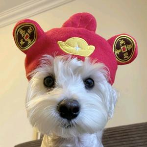 杭州江南优宠·大型购宠基地头像