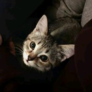 乖小怡ᗜ ˰ ᗜ头像