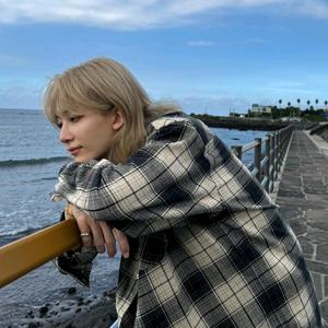 破防脆脆鲨！头像