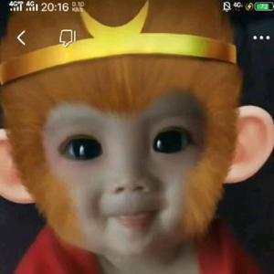 69780793563头像