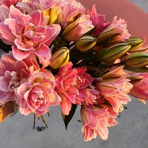 鑫花汇鲜花批发头像