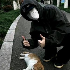 ◢甲轶甲◣头像