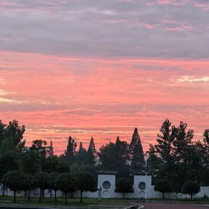 颐养园 Vlog头像