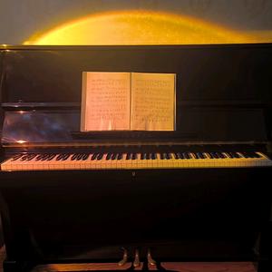 多练琴，少说话🎹头像