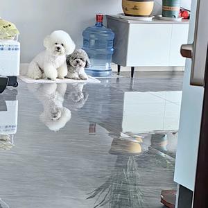 喝酒对瓶吹头像