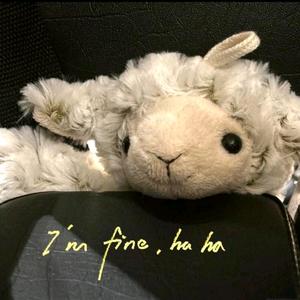 自当勤勉🌱头像