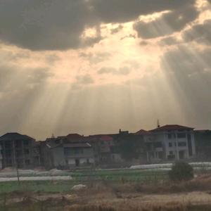 乘物以游心头像