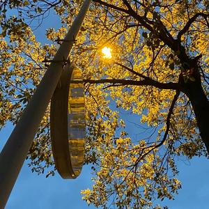 享受影视剧，《拒绝连赞》头像