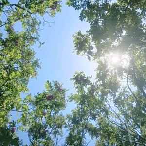 王虎与叶修🌈🌈🌈🌈头像