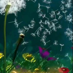 随缘（远离你的世界）头像