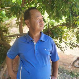 湛江菠萝叔头像