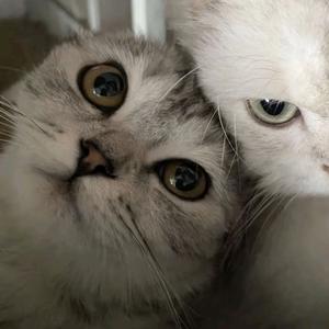 东西南北的东头像