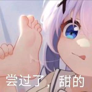 会飞的兔子头像