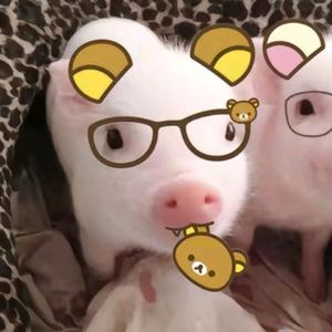 放学一起走头像