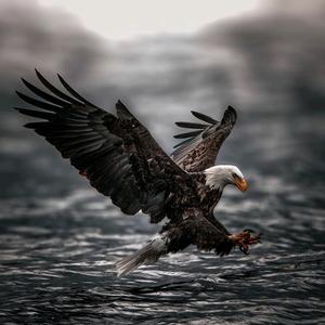 该用户不存在头像