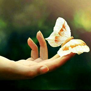 意歌~小和尚头像