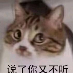 L'amour éternel头像