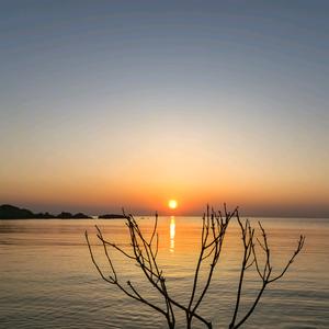 煮夫的日常头像