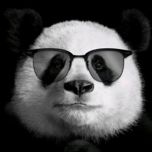 武汉华中新世纪人才股份有限公司头像