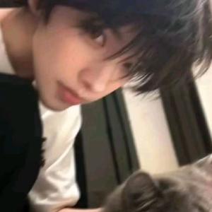 小森好物精选头像