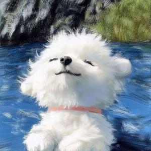 小喵没烦恼（emo版）头像