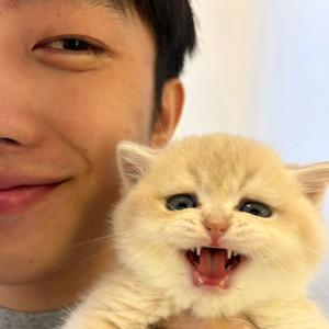 猫爸阿力呀头像