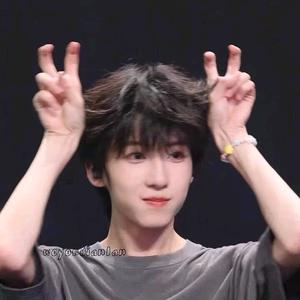 芝碎博文猫头像