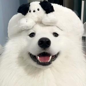 沙沙动画乐园头像