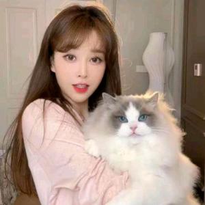 游鹿鹿【爆款返场】头像