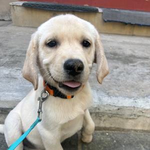 云长的云宝头像