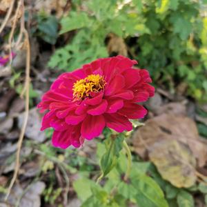 一条闲鱼🌈头像