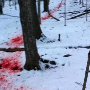 🕷️🫦🕷️头像