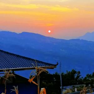 三七哥中药材头像