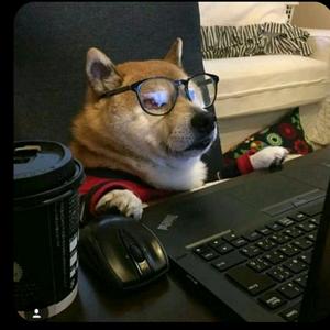 寂寞的棒棒糖头像