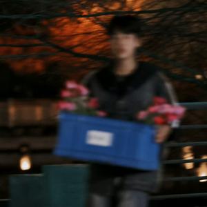 咖啡因来自咖啡果头像