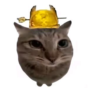 秋刀鱼不会过期头像