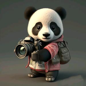 呼和浩特婚礼跟拍头像