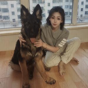 小德叫黑蛋🐶头像