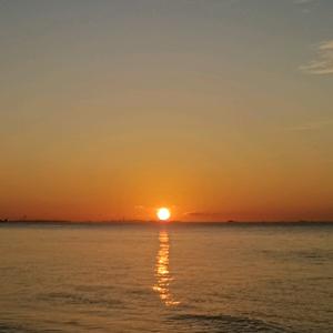 橙子姑娘🍊头像