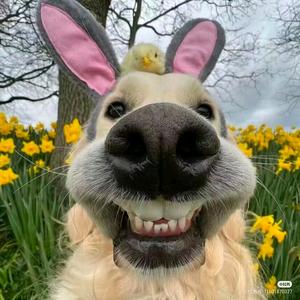 点我听剧剧头像