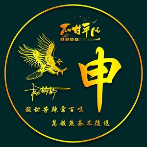申氏家族有林小申：申氏图腾历史影像资料人头像