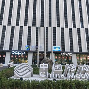 凤凰大街小移头像