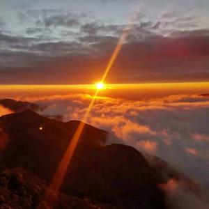 万宝山爷们头像