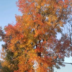 追梦者一起飞翔。头像