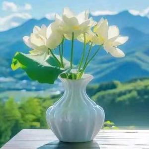 &志℡在か远^O^方头像