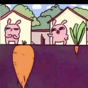 随🌷遇🌷而🌷安头像