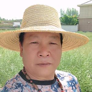 迷失在北极的鱼头像