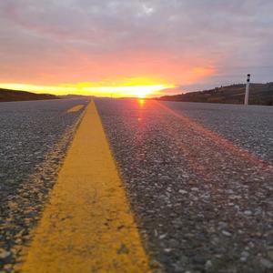 大伟在北美头像