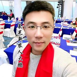 莱芜新农人大鹏头像