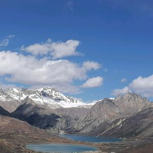 花鲢鱼头火锅头像